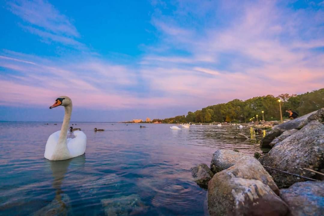 Balaton Wellness Apartman Siofok Bagian luar foto